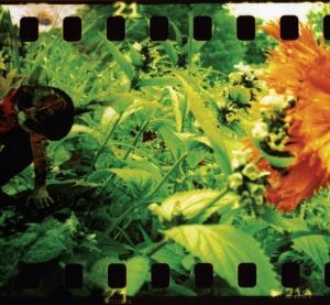 Lomography images captured by the young people