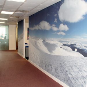 Snowy panorama