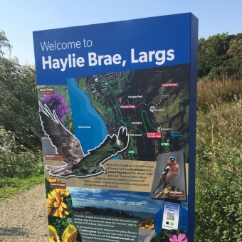 totem sign, Haylie Brae feat img